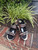 Used burberry Sandals 10.5 60067-S000829259 View 1