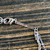 Used Kendra Scott Necklace 60129-S000582857 View 5