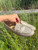 Used Michael Michael Kors Flats 8 60084-S000948150 View 1