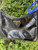 Used Prada Large Leather Handbag 60067-S000829602 View 3