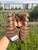 Used Sorel Wedge Sandals 7.5 60084-S000948470 View 5