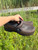 Used Dansko Clogs 13 60084-S000948484 View 1