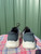 Used Skechers Mens Athletic Shoes 9.5 60084-S000948499 View 4