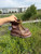 Used Dr. Martens Ankle Boots 7 60084-S000948606 View 1