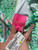 Used Lilly Pulitzer Short Dress F S-4/6 60084-S000948675 View 2
