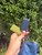Used coach blue green Small Leather Handbag 60067-S000830201 View 6
