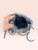 Used Chanel Small Handbag 60032-S000712071 View 5