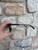 Used Coach Sunglasses 60067-S000830273 View 4