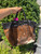 Used Patricia Nash Large Leather Handbag 60067-S000830436 View 1