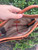 Used Burberry Small Leather Handbag 60067-S000830503 View 9