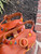 Used Farm Rio Sandals 60067-S000830511 View 6