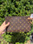 Used Louis Vuitton Wristlet 60067-S000830538 View 5