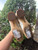 Used Sam Edelman Low Heels 8.5 60067-S000830587 View 6