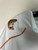 Used Burlebo Mens Active T-Shirt XXL 60060-S000663560 View 4