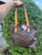 Used Louis Vuitton Leather Handbag 60067-S000830961 View 3