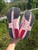 Used On Cloud Performance Shoes 6.5 60084-S000949935 View 5