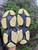 Used Balenciaga Sneakers 9 60067-S000831474 View 7