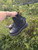 Used Dr. Martens Ankle Boots 9 60084-S000950486 View 2