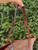 Used Coach Large Handbag 60067-S000831896 View 4