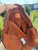 Used Unbranded Large Leather Handbag 60084-S000951063 View 4