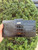 Used Kate Spade New York Wallet 60067-S000832076 View 1