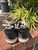 Used Coach Performance Shoes 7 60067-S000832085 View 8