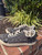Used Coach Performance Shoes 7 60067-S000832085 View 7