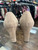 Used Jimmy Choo Low Heels 7.5 60004-S000679922 View 3