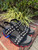 Used Christian Louboutin Wedge Sandals 10 60067-S000832355 View 1