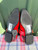 Used Steve Madden Flats 7.5 60084-S000951633 View 3