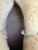 Used Dansko Clogs 6.5 60084-S000951632 View 5
