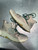 Used New Balance Outerwear Boots 8 60107-S000343899 View 4