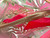 Used Lilly Pulitzer Small Handbag 60047-S000640126 View 5