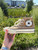 Used Converse Casual Shoes 7.5 60084-S000952078 View 4