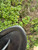 Used Tory Burch Sandals 7 60067-S000832777 View 3