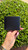 Used Gucci Leather Wallet 60031-S000863736 View 5