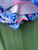 Slight fraying  View 3