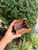 Used Marc By Marc Jacobs Leather Wallet 60067-S000833157 View 7