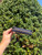 Used Tory Burch navy blue Wallet 60067-S000833164 View 3