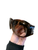 Used Tiffany & Co. Sunglasses 60100-S000334740 View 3