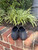 Used Salvatore Ferragamo flats 8 60067-S000833429 View 3