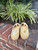 Used Salvatore Ferragamo flats 8 60067-S000833444 View 3