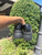 Used Gucci Casual Shoes 10 60067-S000833604 View 6