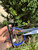 Used miumiu sunglasses 60067-S000833663 View 4