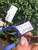 Used miumiu sunglasses 60067-S000833663 View 7