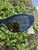 Used Miu Miu Sunglasses 60067-S000833669 View 9