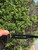 Used Miu Miu Sunglasses 60067-S000833669 View 8