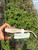 Used Prada Sunglasses 60067-S000833672 View 3