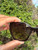 Used Prada Sunglasses 60067-S000833673 View 6