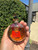 Used Valentino Perfume 60067-S000833721 View 1